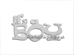 It's a boy ! single
