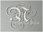 "N" monogram ozdobny